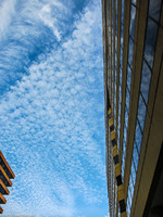 IMG_1702.jpg