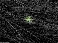 L1010768.jpg